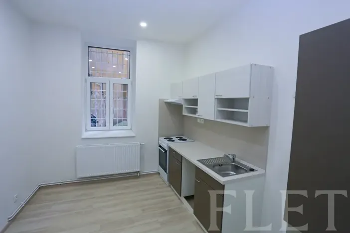 Pronájem bytu 1+1, Praha - Žižkov, Chelčického, 45 m2