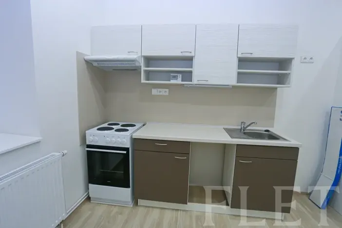 Pronájem bytu 1+1, Praha - Žižkov, Chelčického, 45 m2