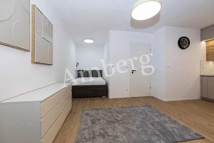Pronájem bytu 1+kk, Praha - Karlín, Křižíkova, 32 m2