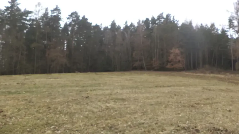 Prodej pole, Zvěstov - Bořkovice, 9983 m2