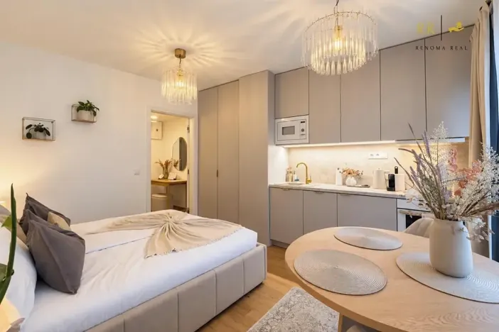 Pronájem bytu 1+kk, 25 m², Bratislavská, Brno