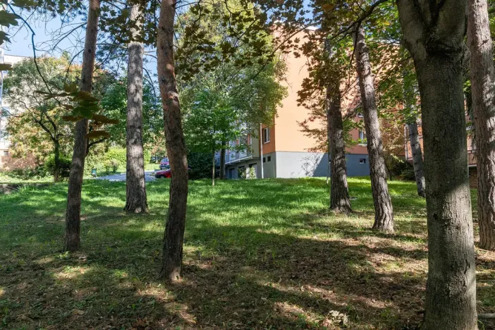 Prodej bytu 2+1, Brno - Žabovřesky, Fričova, 54 m2