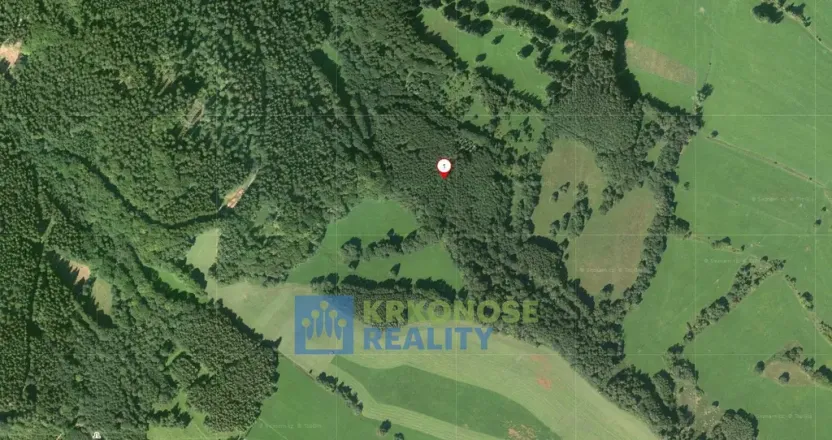 Prodej louky, Trutnov - Babí, 22776 m2