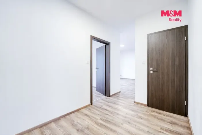 Pronájem bytu 2+kk, Plzeň - Východní Předměstí, Sladová, 54 m2