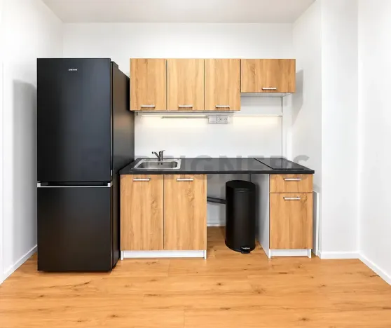 Pronájem bytu 2+kk, Brno, Bratislavská, 42 m2