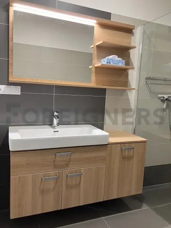Pronájem bytu 2+kk, Olomouc, Eduarda Hamburgera, 54 m2