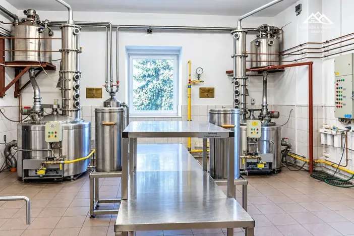 Pronájem výrobních prostor, Nová Ves u Chotěboře, 266 m2