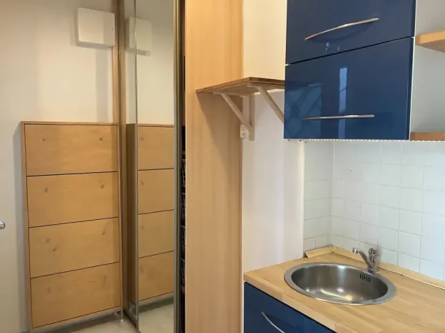Pronájem bytu 1+1, Ostrava, 28. října, 33 m2