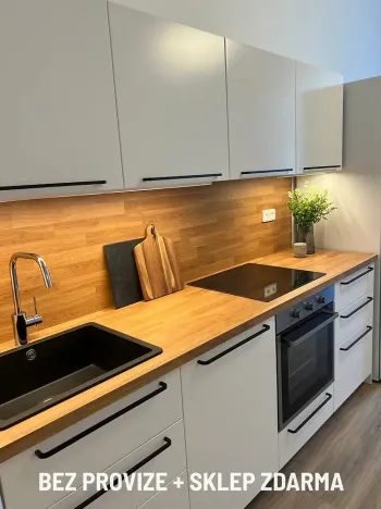 Pronájem bytu 2+kk, 45 m², Sládkova, Praha 7 - Bubeneč