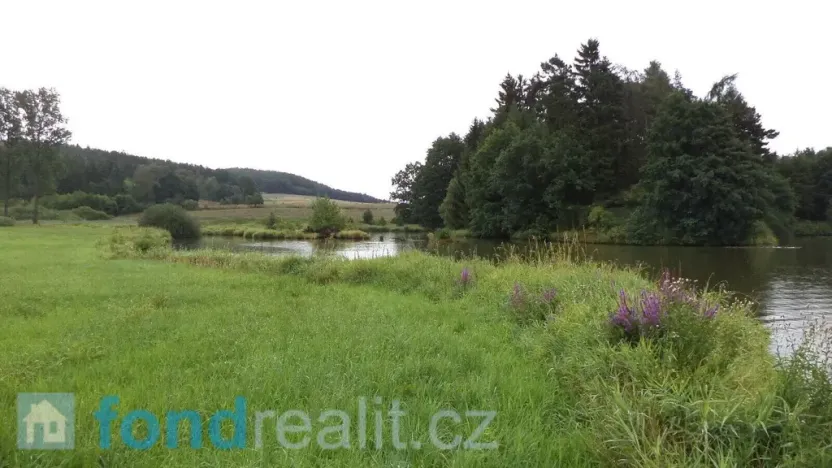 Prodej pozemku, 5241 m², Kocelovice