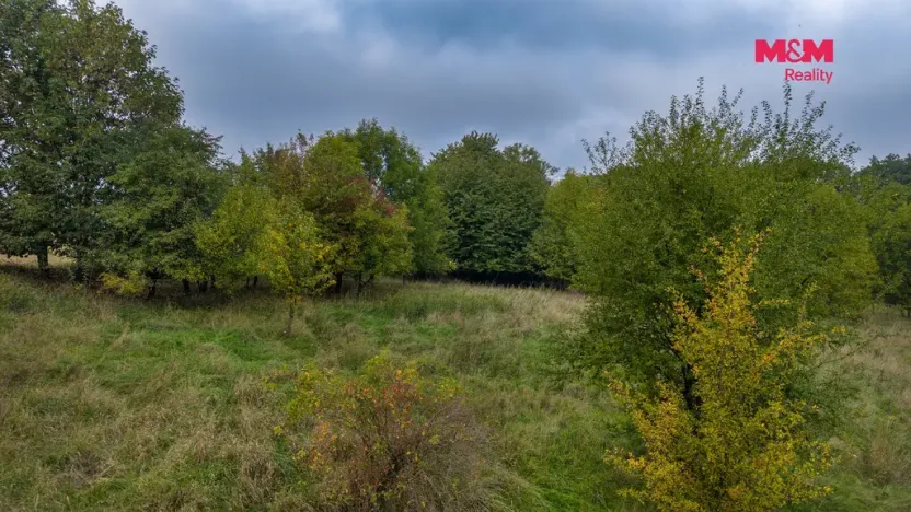 Prodej pole, Blíževedly - Hvězda, 38582 m2