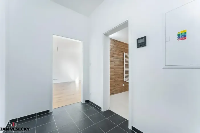 Prodej bytu 1+kk, Plzeň, Železná, 38 m2