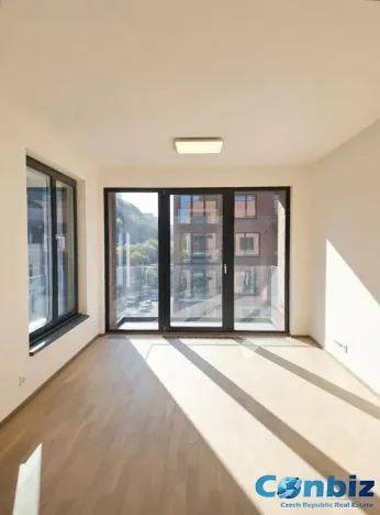 Pronájem bytu 2+kk, Praha - Karlín, Švarcova, 54 m2