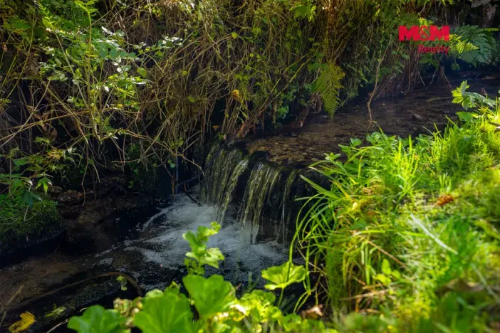 Prodej rodinného domu, Desná, U Trati, 430 m2