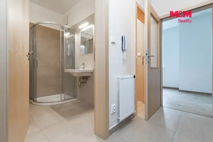 Pronájem bytu 1+kk, Plzeň - Litice, Vysoká, 38 m2