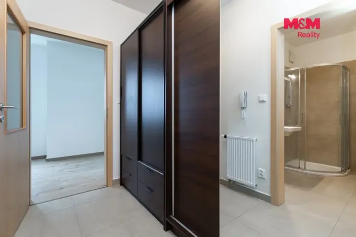 Pronájem bytu 1+kk, Plzeň - Litice, Vysoká, 38 m2