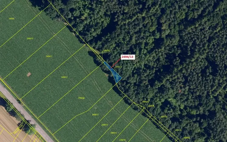 Dražba lesa, Oslavany, 113 m2