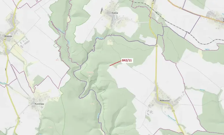 Dražba lesa, Ketkovice, 113 m2
