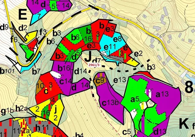 Dražba lesa, Český Dub, 1217 m2