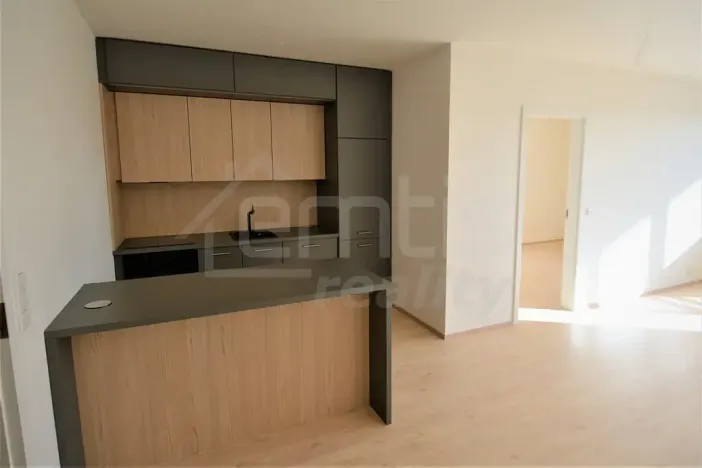 Pronájem bytu 2+kk, Praha, Davídkova, 64 m2