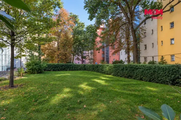 Pronájem bytu 1+1, Praha - Žižkov, Kubelíkova, 63 m2
