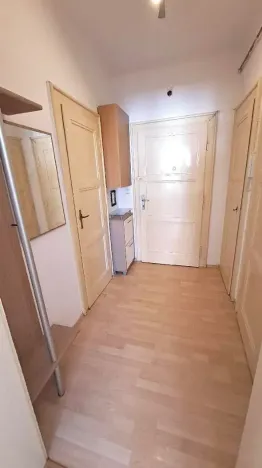 Prodej bytu 2+kk, Praha - Žižkov, Hartigova, 48 m2