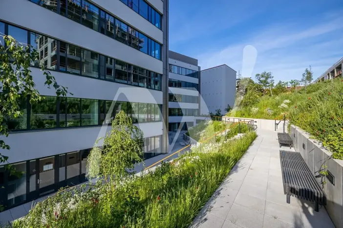 Pronájem kanceláře, Praha - Smíchov, Plzeňská, 350 m2