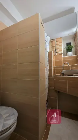 Prodej bytu 1+kk, Olomouc, Norská, 39 m2
