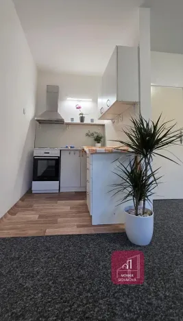 Prodej bytu 1+kk, Olomouc, Norská, 39 m2