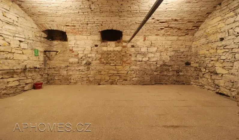 Pronájem skladu, Praha - Nové Město, Opatovická, 60 m2