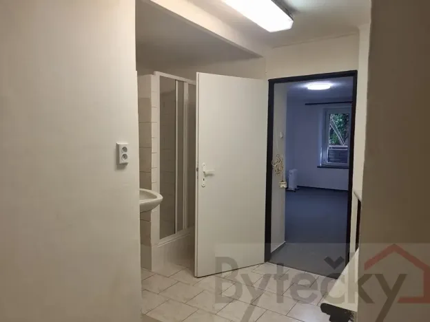 Pronájem bytu 1+1, Praha - Strašnice, Srbínská, 24 m2