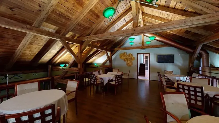Dražba restaurace, Praha - Holešovice, Jankovcova, 1096 m2