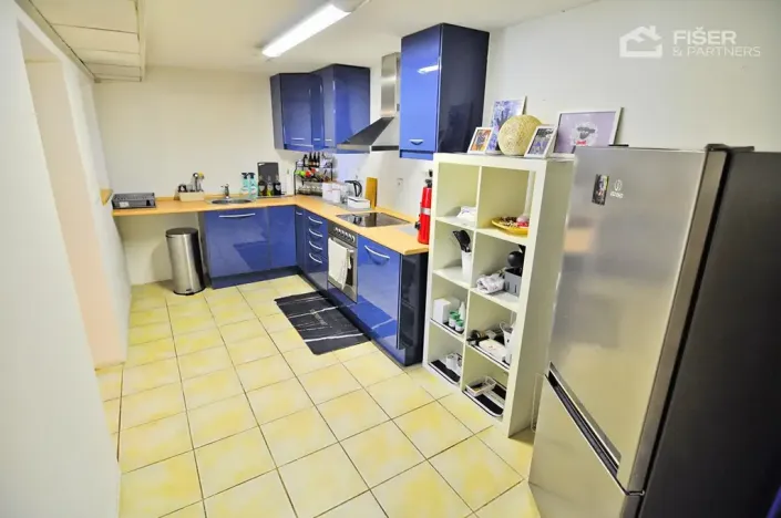 Pronájem bytu 2+kk, Lešná, 120 m2