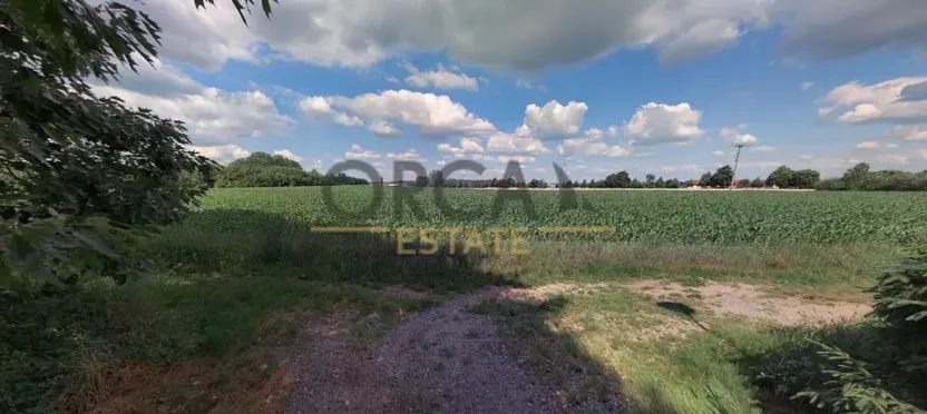Prodej podílu pozemku pro bydlení, Sadská, 3372 m2