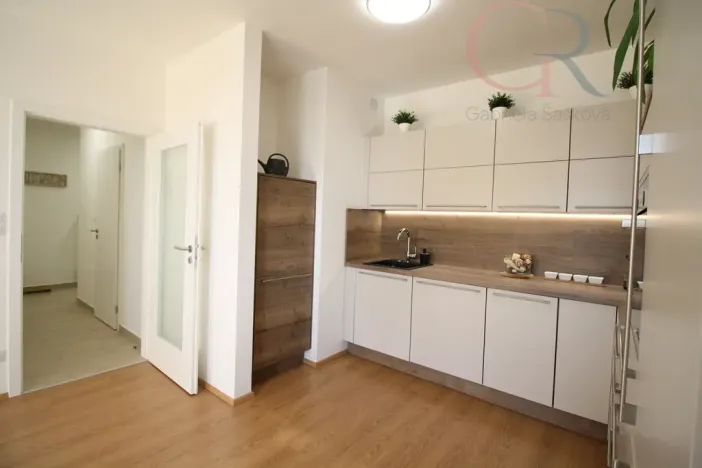 Pronájem bytu 1+kk, Plzeň - Jižní Předměstí, Inženýrská, 50 m2