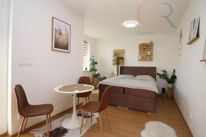 Pronájem bytu 1+kk, Plzeň - Jižní Předměstí, Inženýrská, 50 m2