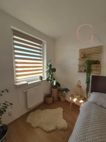 Pronájem bytu 1+kk, Plzeň - Jižní Předměstí, Inženýrská, 50 m2