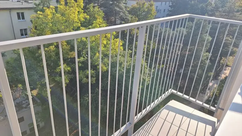 Pronájem bytu 2+1, Praha - Žižkov, Pod lipami, 55 m2