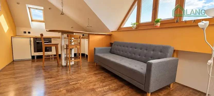 Pronájem bytu 1+kk, Brno, Kohoutova, 50 m2