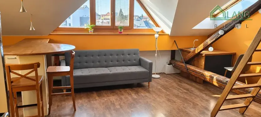 Pronájem bytu 1+kk, Brno, Kohoutova, 50 m2
