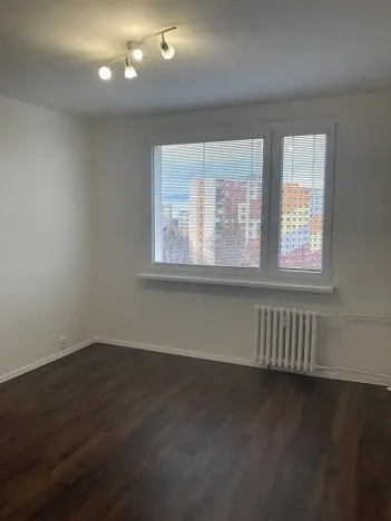 Prodej bytu 1+1, Chomutov, 17. listopadu, 36 m2