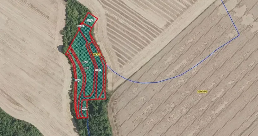 Prodej lesa, Mečeříž, 10300 m2