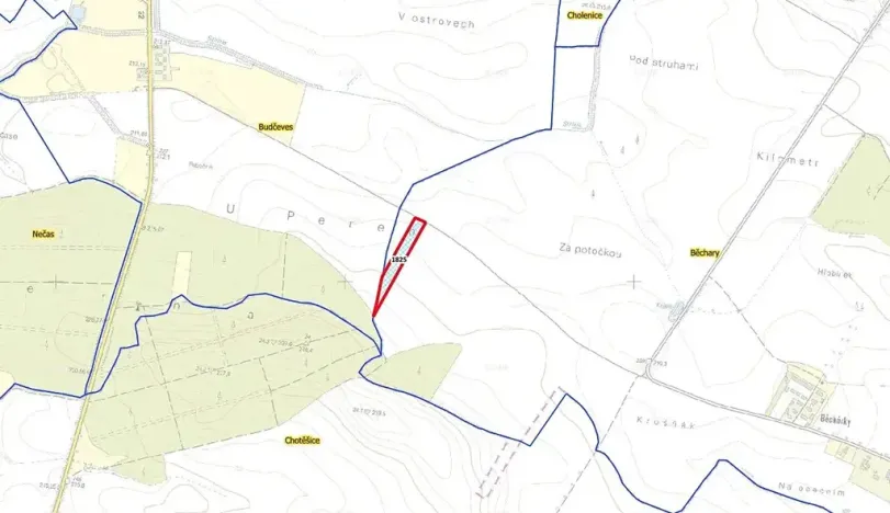Prodej pole, Běchary, 12202 m2