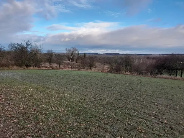 Prodej sadu/vinice, Malý Újezd, 7862 m2