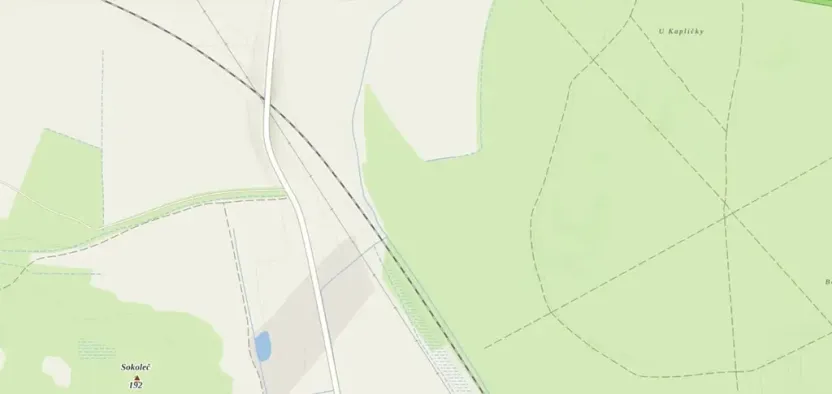 Prodej lesa, Poděbrady, 5736 m2