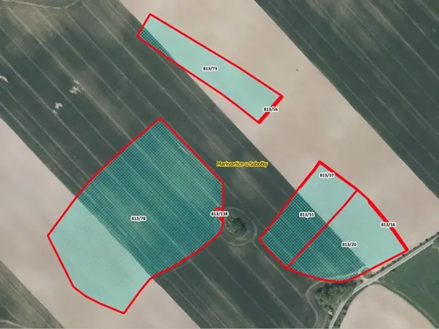 Prodej pole, 80011 m², Markvartice