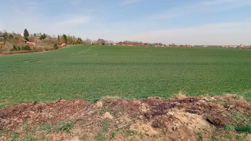Prodej pozemku pro bydlení, Chlumec nad Cidlinou, 20781 m2