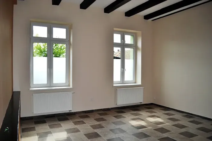 Prodej vícegeneračního domu, Roudnice nad Labem, Špindlerova třída, 783 m2