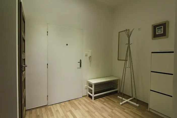 Pronájem bytu 2+kk, Praha - Žižkov, Zelenky-Hajského, 40 m2