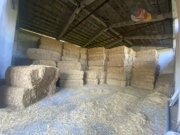 Prodej výrobních prostor, Dívčí Hrad, 4972 m2
